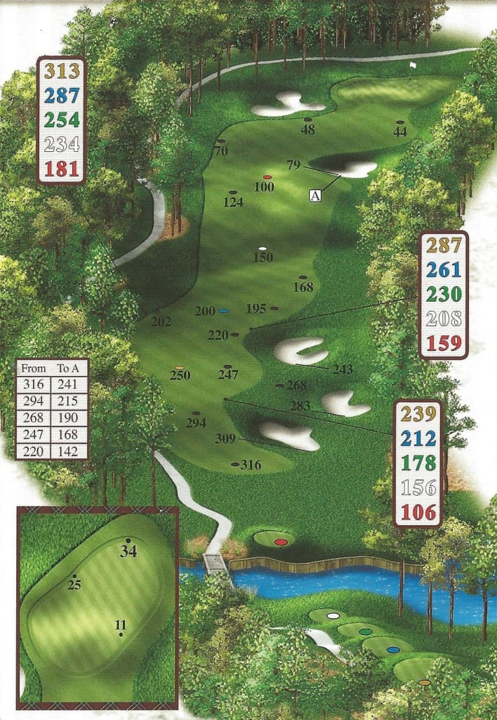 Hole 3 763x1024