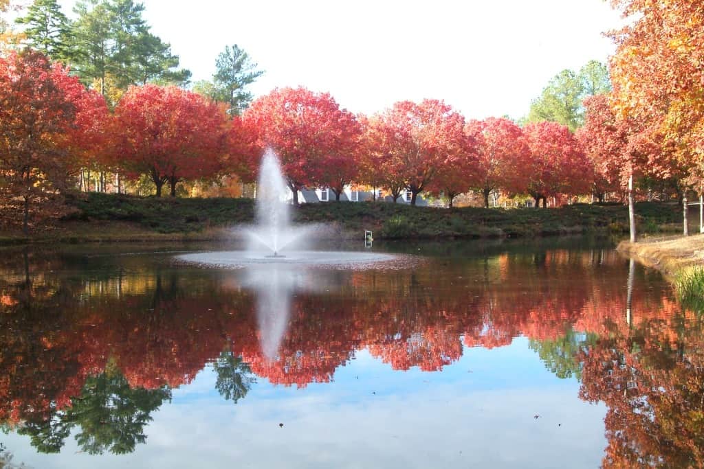 fall-at-Harbor-Club.jpg