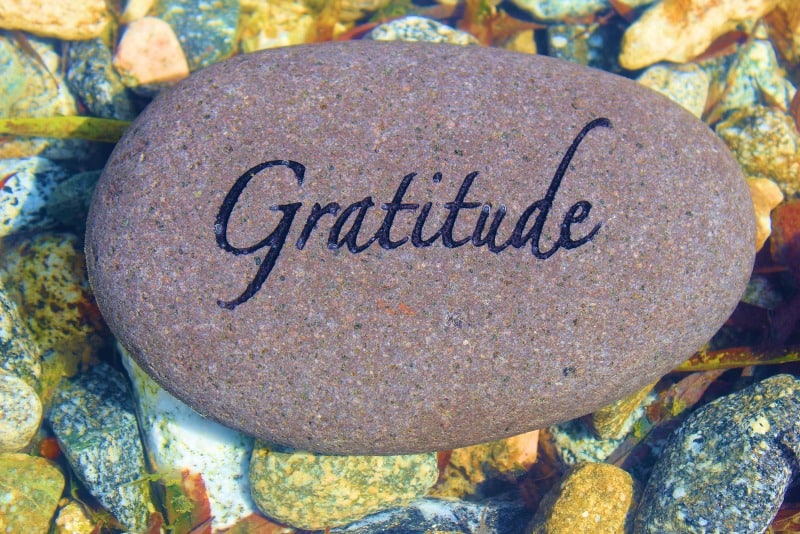 gratitude-blog.jpg