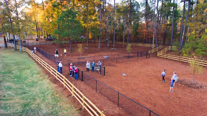Dog_Park.jpeg