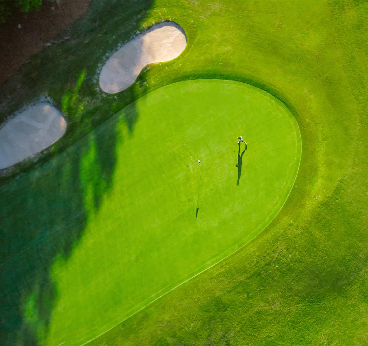 people on golf course