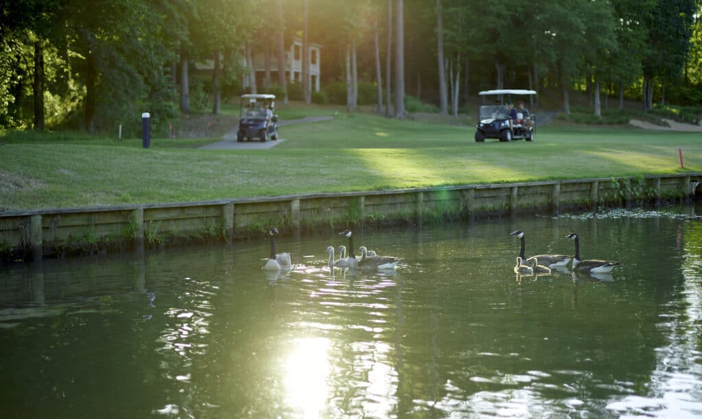 golf cart etiquette