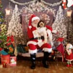 pets with santa